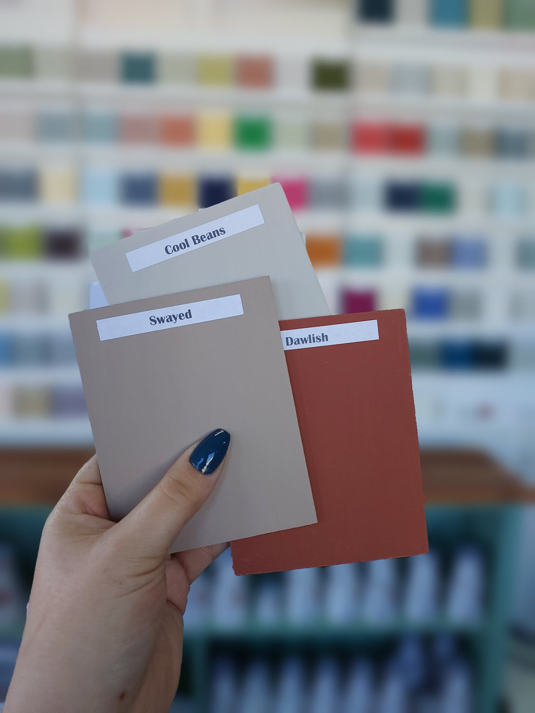 The Power of True Colour Samples: Elevate Your Choice in Paint Colours with Confidence